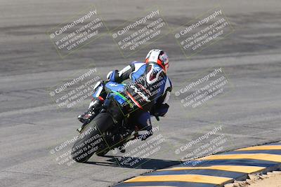 media/Feb-04-2024-SoCal Trackdays (Sun) [[91d6515b1d]]/4-Bowl Backside (11am)/